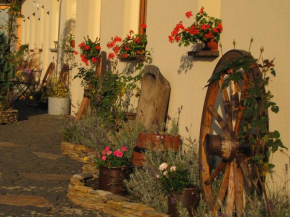 Pokoje Gościnne Skalnik - Agroturystyka, Kostrzyn Nad Odrą